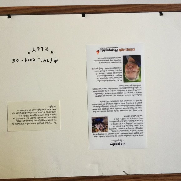 Terry Ritz Photography art print framed wall decor home decor - Picture 3 of 4